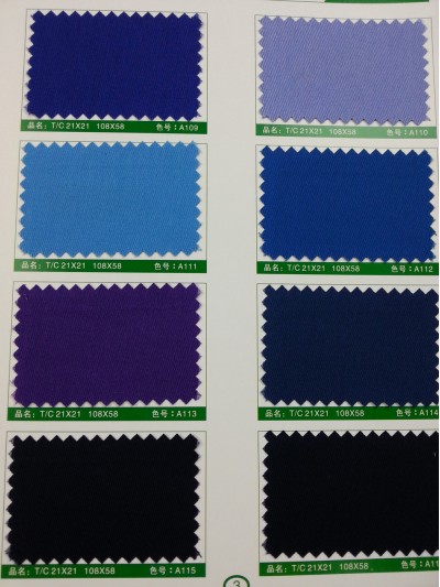 SD-DGYE   滌棉紗卡  T/C  21*21  108*58 後面照